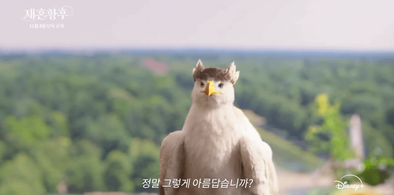 Disney+ Shows Lee Jong-suk as a Bird Five Days Before The Remarried Empress Debuts