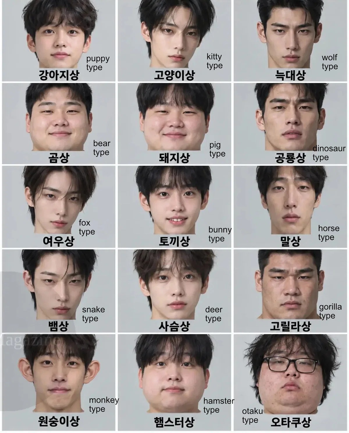 Ten Theqoo Replies, Five Animal Faces: Kitty and Wolf Types Win Out