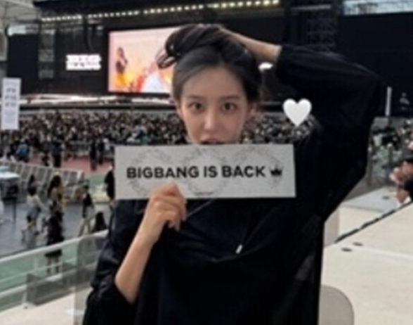 BIGBANG Fans Are Uneasy After Kim Siwon Attended the 20th Anniversary Concert