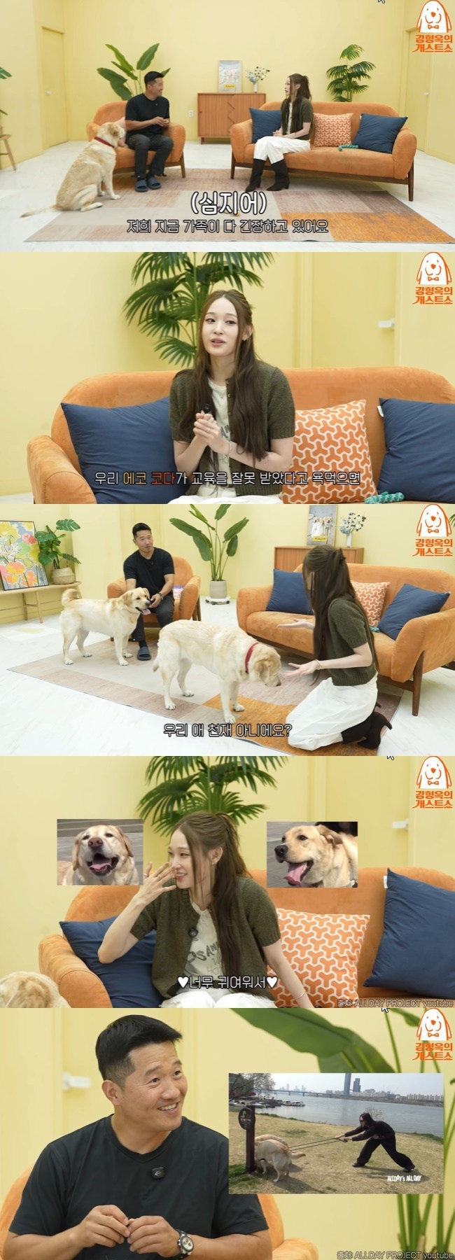 ALL DAY PROJECT's Annie Brings Her Two Dogs to Korea's Strictest Trainer